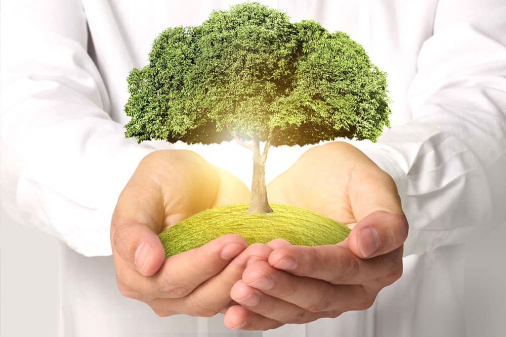 ENVIRONNEMENT-RSE